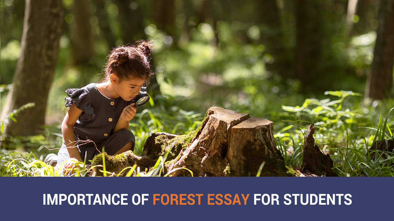 essay on forest cover