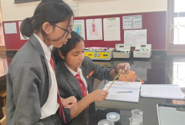 MYP 3: Students made models of ions to understand the chemical formulae and interpreted the energetics of reactions in the lab.