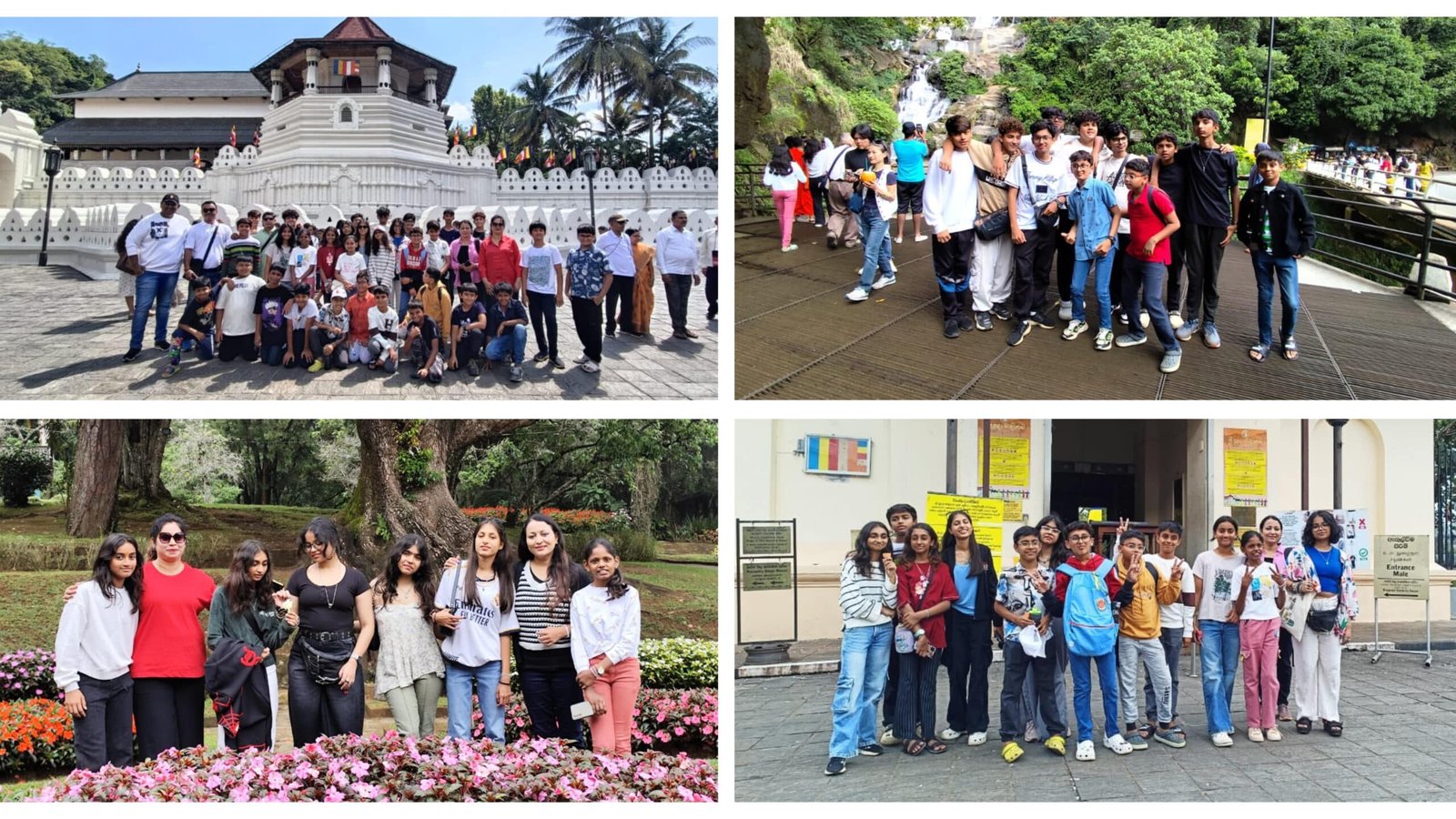 A Journey Through Sri Lanka: A Week of Beauty, Culture, and Adventure